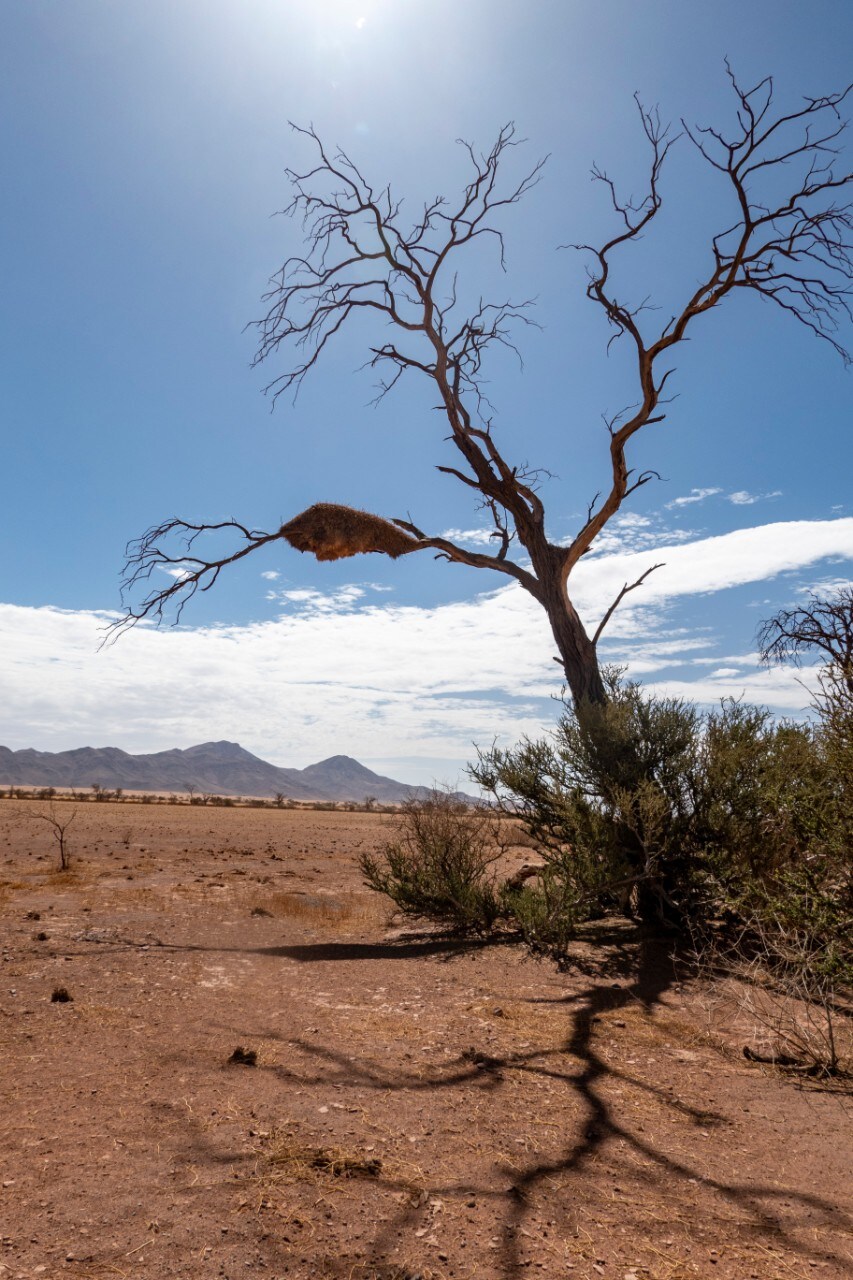 Turismo: Transafrica